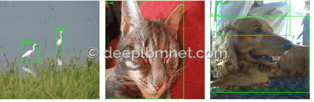 LBMNet is a new architecure for Image Inpainting base in the lattice Boltzmann Method