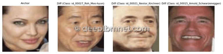LBMNet is a new architecure for Face Recognition based in the lattice Boltzmann Method