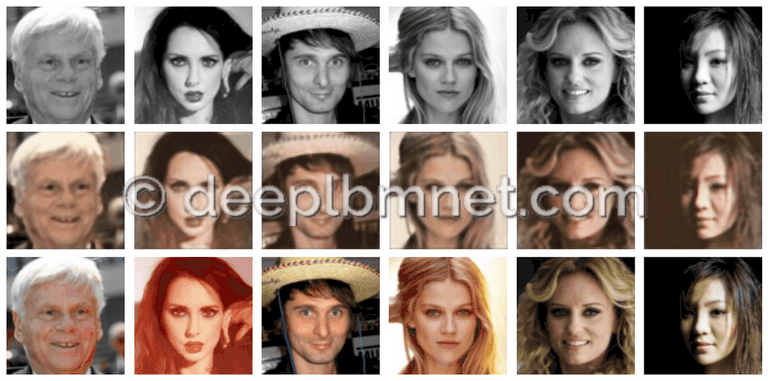 LBMNet is a new architecure for Image Coloriz based in the lattice Boltzmann Method
