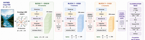 LBMNet is a new architecure for Image classification base d in the lattice Boltzmann Method