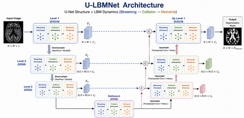 LBMNet is a new architecure for Image Inpainting base in the lattice Boltzmann Method